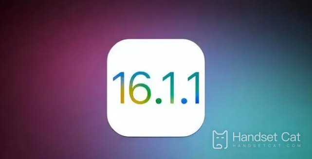 iOS16.1.1은 헤드폰의 정품 여부를 감지할 수 있나요?