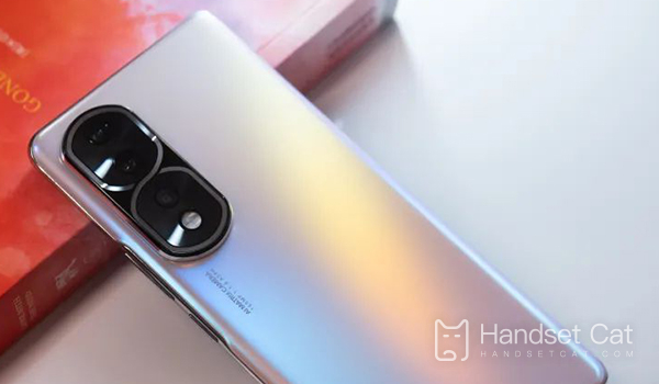 Kann die Zweitkarte des Honor 80 Pro auf das Internet zugreifen?