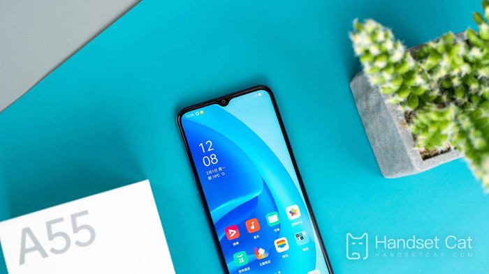 OPPO A55s screen size introduction