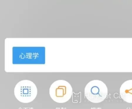 Tutorial sobre cómo extraer texto de imágenes en Meizu 18X