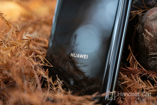 How soon will Huawei Mate 50 Pro arrive on the Double 11