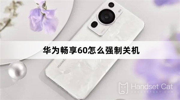 Huawei Enjoy 60을 강제 종료하는 방법