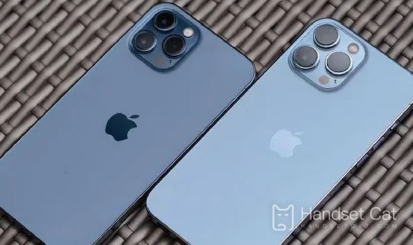 Apple 14promax에서 캐시 데이터를 지우는 방법