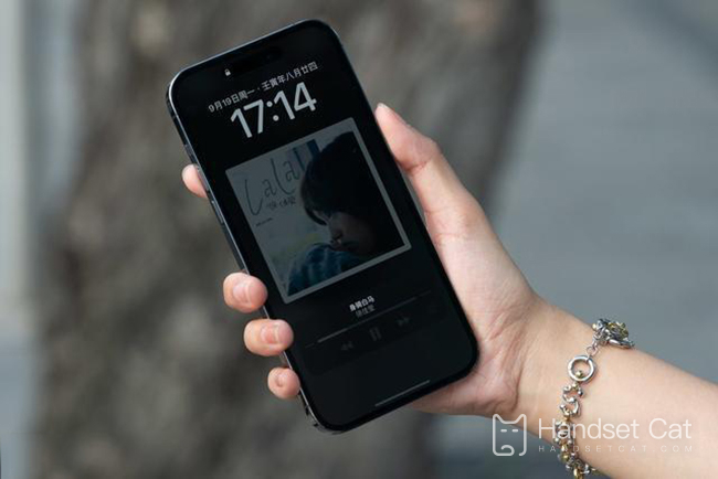 iPhone 14 Pro 256GB JD.com cuesta otros 100 yuanes, ¿realmente no se puede vender?