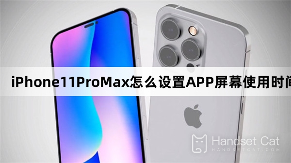 How to set APP screen time on iPhone11ProMax