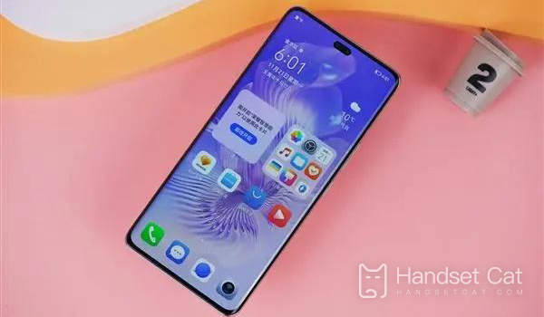 Honor 80 Pro และ Honor 80 แตกต่างกันอย่างไร?