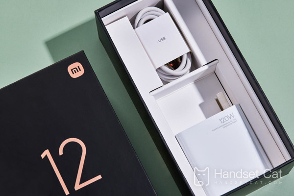 Does Xiaomi 12 Pro support fast charging?