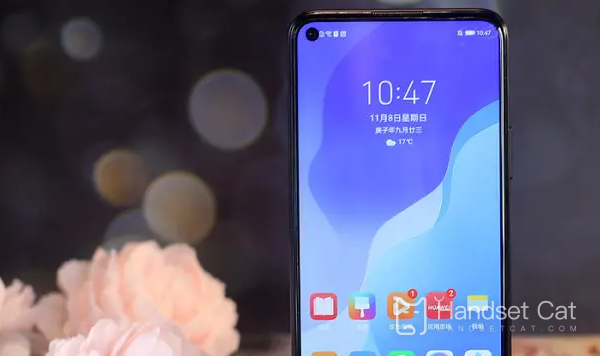 Introdução ao tamanho da tela do Huawei nova 10z