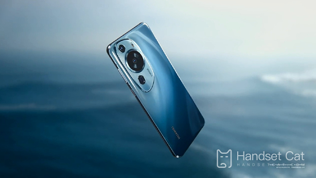 Does Huawei P60 Art support privacy spaces