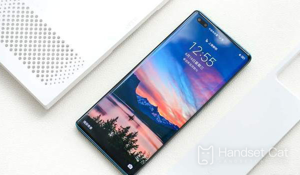 Où ajuster Honor 50 Pro au réseau 4G