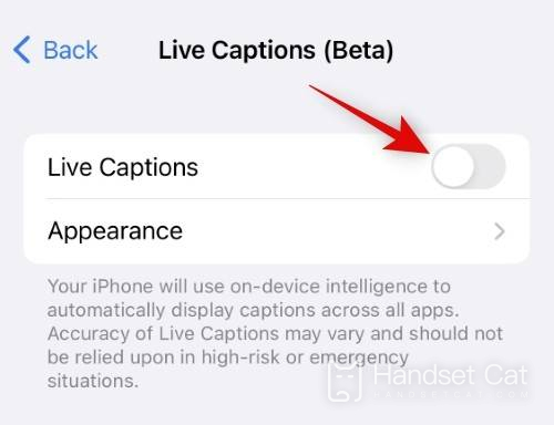 How to open real-time subtitles for iPhone 14 pro