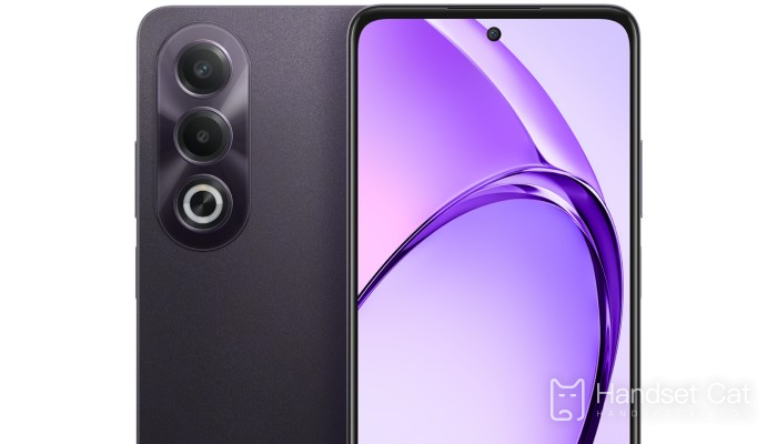 ¿El OPPO A3x tiene pantalla recta o curva?