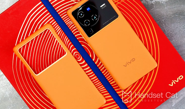 vivo X90 Pro 화면 크기 소개