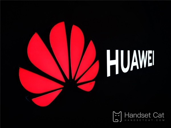 Huawei ranks the fourth in the world in terms of patent applications and the top five in R&D investment in the world!