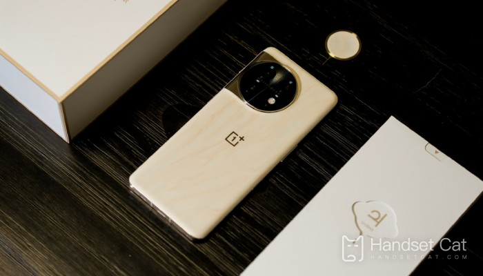 Quanto custa o OnePlus 11 Jupiter Rock Edição Limitada?