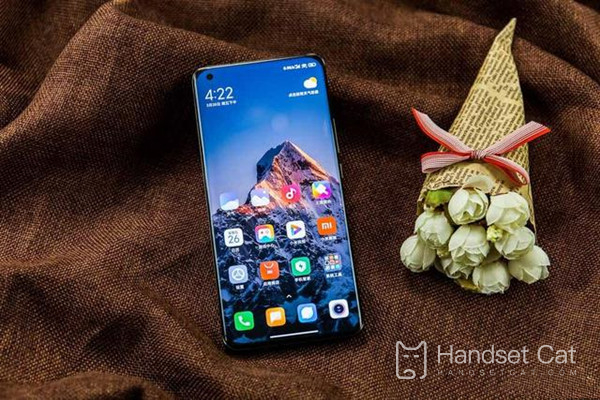 Hướng dẫn thay thế Xiaomi 11 Ultra