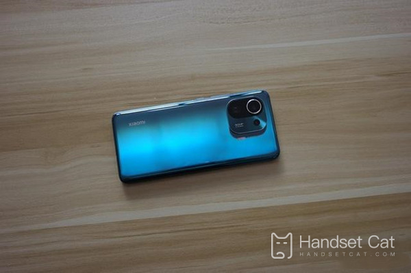 How about Xiaomi 11 Pro selfie?