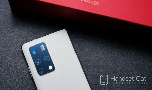 Huawei Mate X2 Collector's Edition