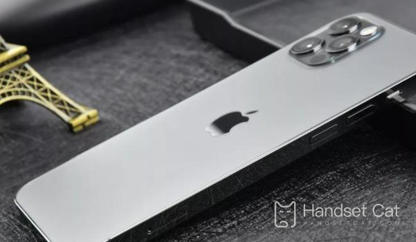 Explication détaillée de la taille de l'écran de l'iPhone 13 Pro Max