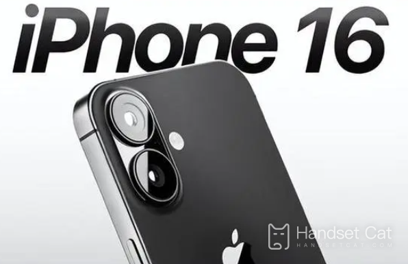 iPhone 16은 지문 인식을 지원합니까?