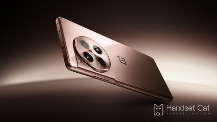 OnePlus Ace3 はワイヤレス充電をサポートしていますか?