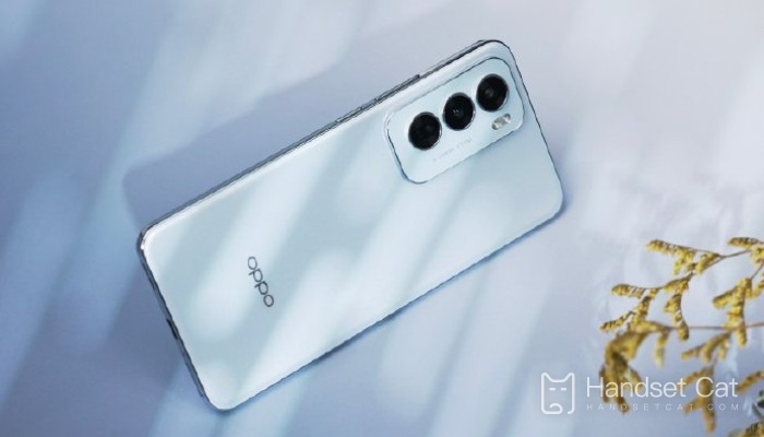 OPPO Reno 12 prend-il en charge le zoom optique ?