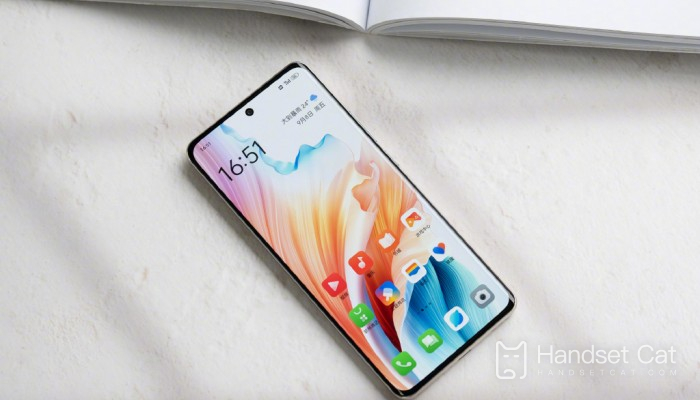 Is OPPOA2Pro a curved screen?