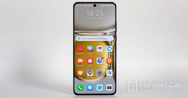 Huawei p60 có hỗ trợ không gian riêng tư không?