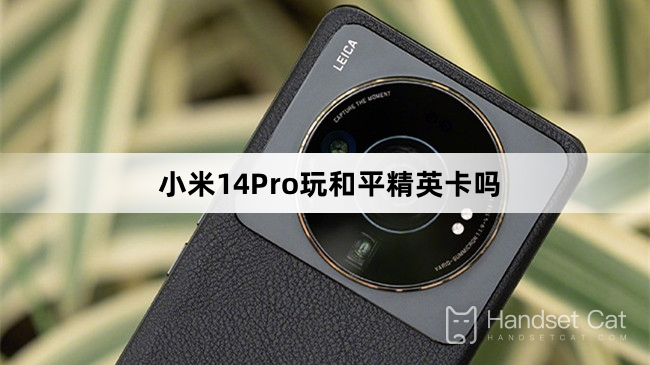 Does Xiaomi Mi 14Pro play with Peace Elite card?