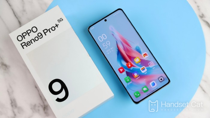 Cómo mostrar el progreso de la comida para llevar en la pantalla OPPO Reno9 Pro+