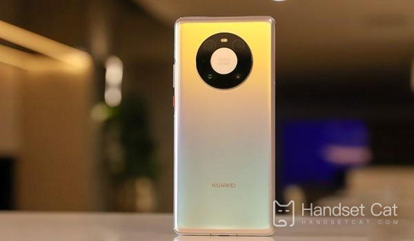 Does Huawei Mate 40 support the function of super transit station