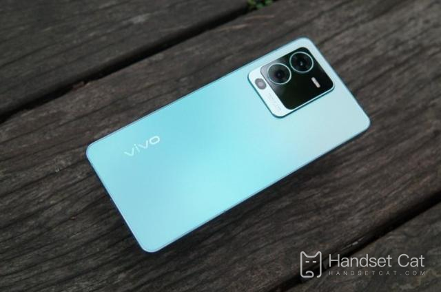 vivoS16 est disponible en plusieurs couleurs