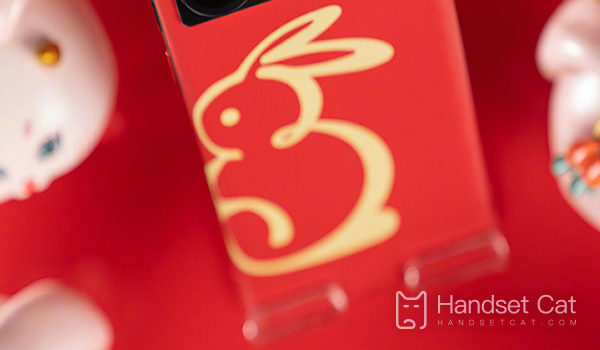 O Nubia Z50 China Red Year of the Rabbit Limited Edition pode ser adquirido em parcelas sem juros?