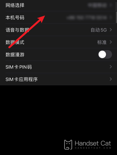 iPhone 12 Pro Max 지역 번호 쿼리 튜토리얼