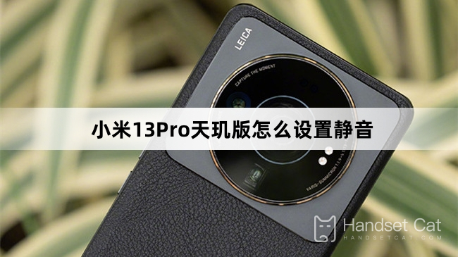 Xiaomi Mi 13 Pro Dimensity Edition에서 음소거를 설정하는 방법