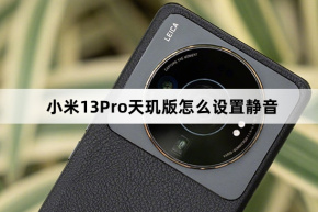 Xiaomi Mi 13 Pro Dimensity Edition에서 음소거를 설정하는 방법