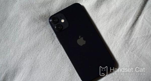 iPhone 12 mini는 듀얼 SIM 듀얼 대기를 지원하나요?