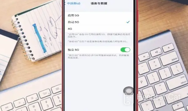 Apple SE4 가격 소개