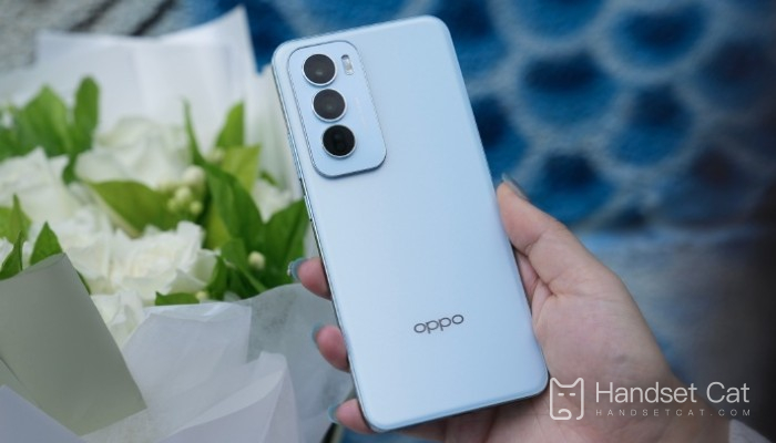 What kind of fingerprint unlocking is used on OPPO Reno 12?