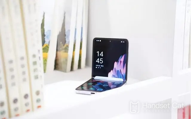 Does OPPO Find N2 Flip support infrared