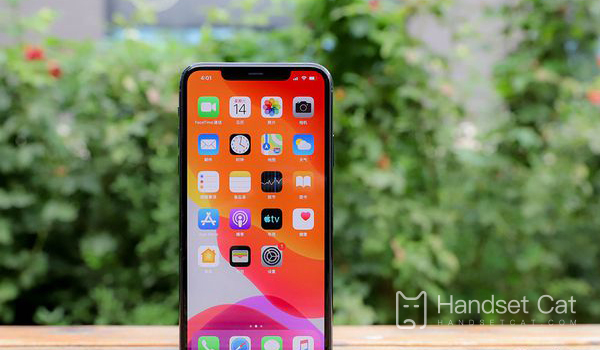 Hướng dẫn kích hoạt hình ảnh trong ảnh iPhone 11 Pro Max