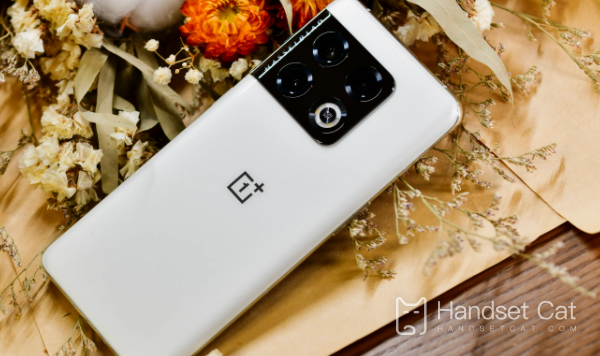 O OnePlus 11 oferece suporte à rede 5G?