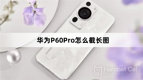 How to cut the length diagram of Huawei P60Pro