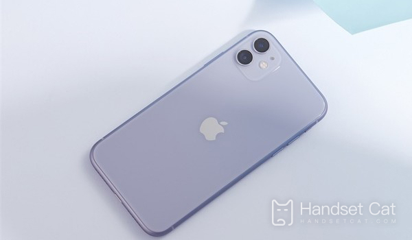 Hướng dẫn phản chiếu màn hình iPhone 11