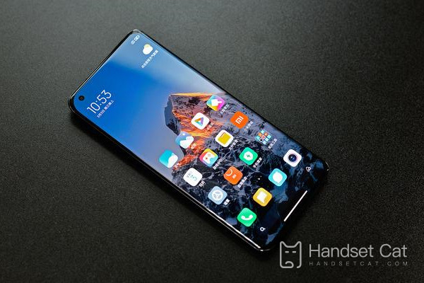 What screen does Xiaomi 11 Pro use?