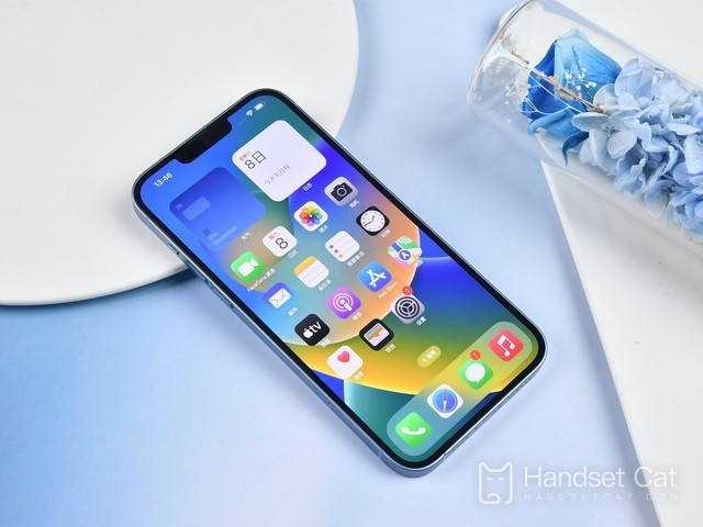 रद्द हो सकता है iPhone 15 Plus?क्या ऐसा इसलिए है क्योंकि 14 प्लस की बिक्री बहुत कम है या...