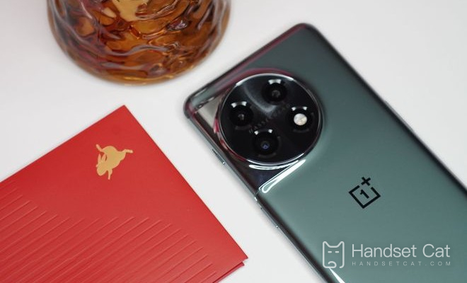 Как насчет того, чтобы поиграть в курицу с OnePlus 11?