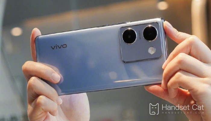 What system is equipped with vivo Y100t?