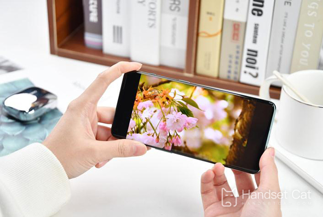 OnePlus 10PRO は NFC 機能をサポートしていますか?
