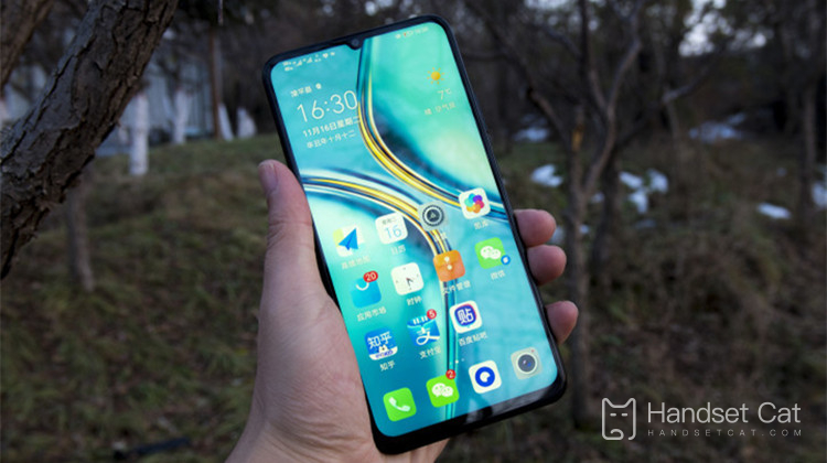 ¿Cuál es la resolución de pantalla del Honor X30 Max?